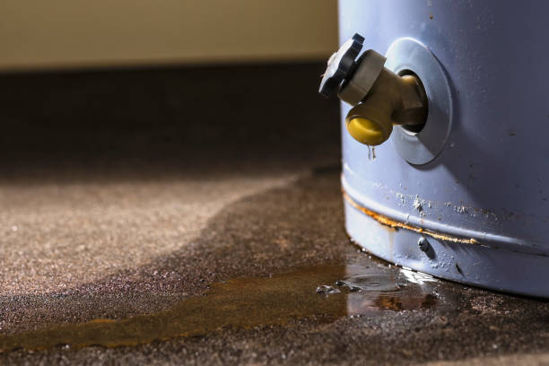 Best Professional water damage repair  in South Lockport, NY