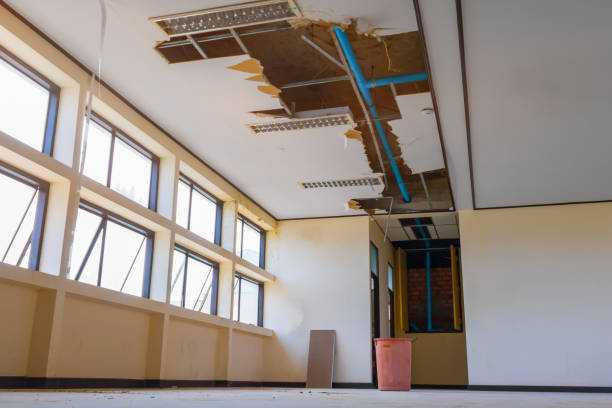 Best Mold removal after water damage  in South Lockport, NY