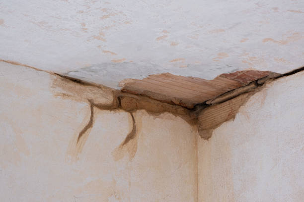  South Lockport, NY Water damage restoration Pros