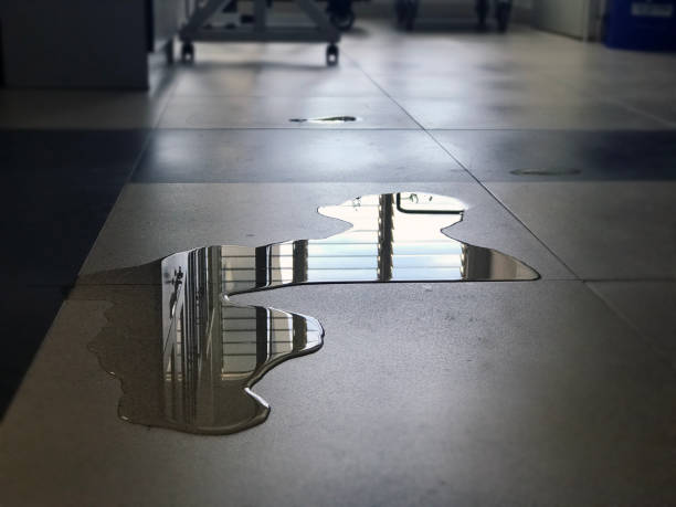 Best Professional water damage repair  in South Lockport, NY