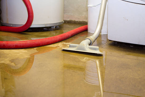 Best Water damage cleanup near me  in South Lockport, NY