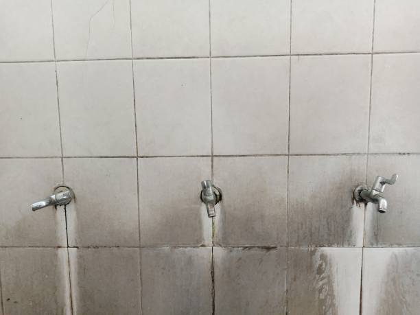 Best Water damage restoration near me  in South Lockport, NY