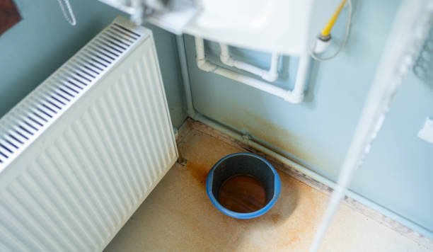 Best Water damage cleanup near me  in South Lockport, NY